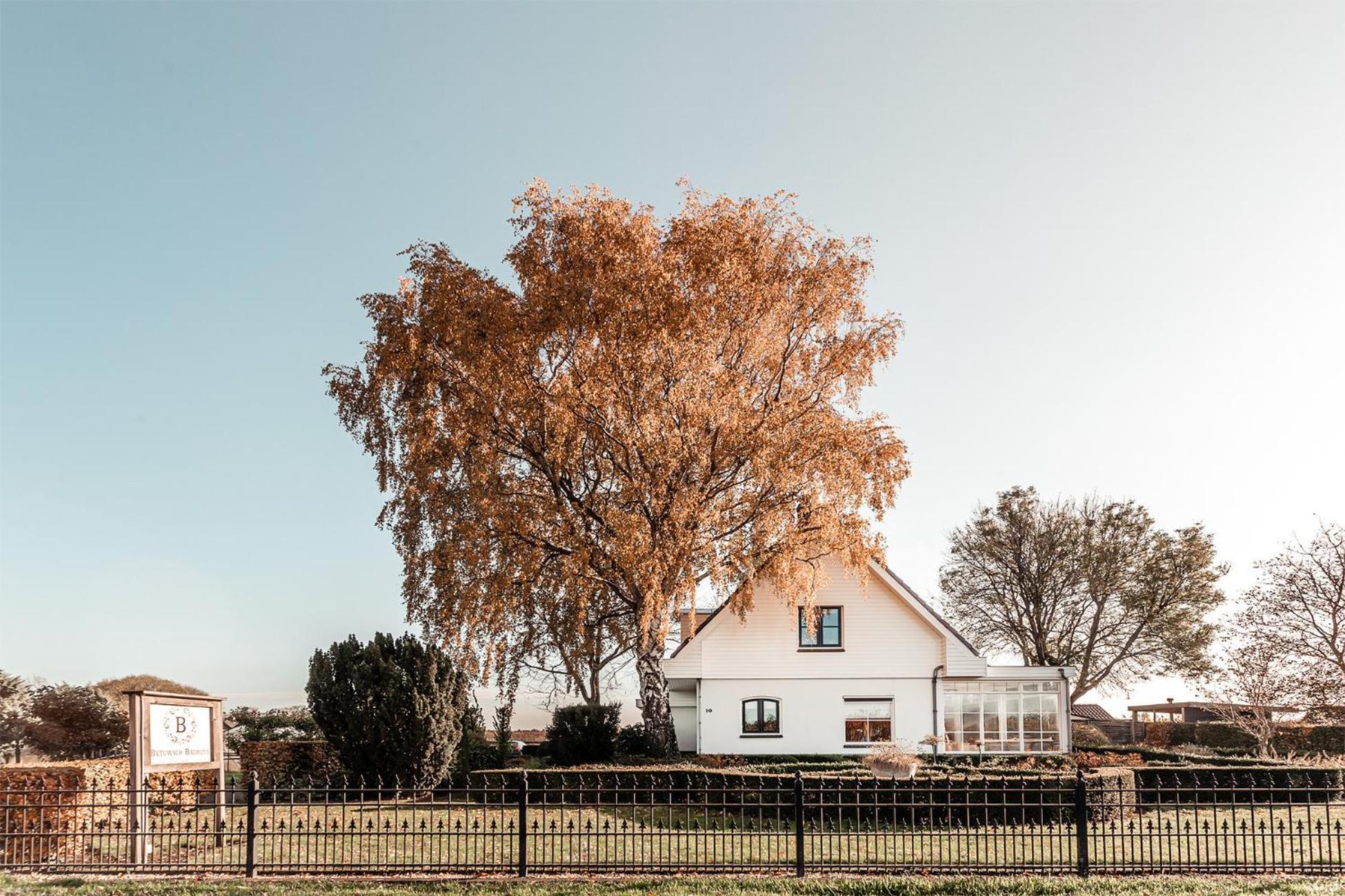 Bed and Breakfast Betuwsch Badhuys Lienden Esterno foto